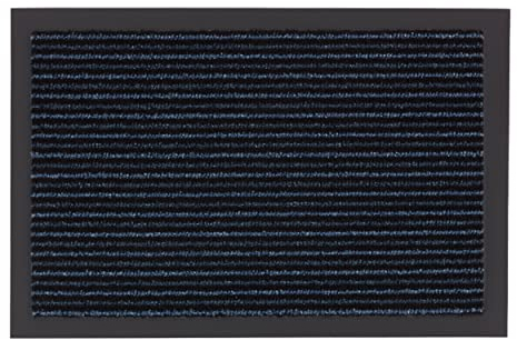 Carpido Fußmatte innen - rutschfeste Türmatte für Eingangsbereich - Sauberlauf wasserabweisend - Pflegeleichte Schmutzfangmatte 80 x 120 cm blau