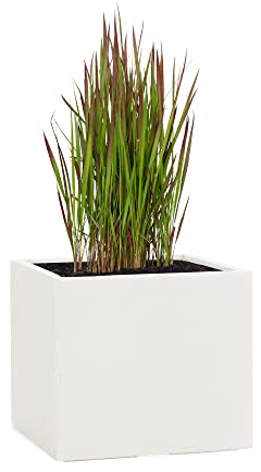 Pflanzwerk® Maceta Cube Arena 30x34x34cm *Resistente a Las heladas* *Protección UV* *Calidad Europeo*