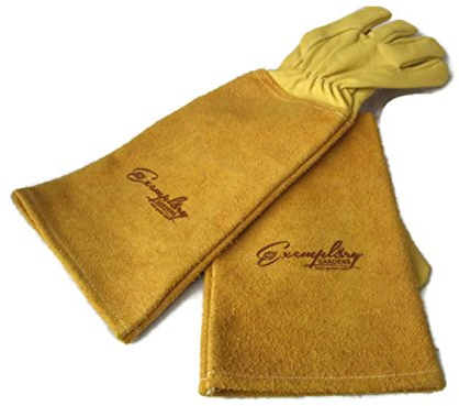 Rose Pruning Gloves for Men and Women - Thorn Proof Goatskin Leather Gardening Gloves with Gauntlet (Medium, Yellow)