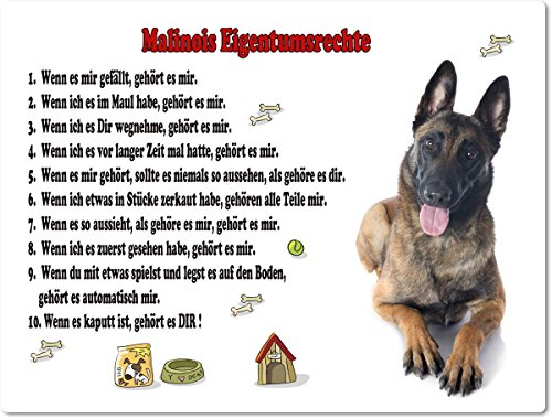 Merchandise for Fans Blechschild/Warnschild/Türschild - Aluminium - 15x20cm Eigentumsrechte Motiv: Malinois/Belgischer Schäferhund (01)