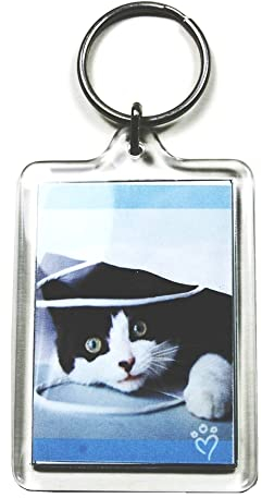 PC3721@ 92033 Schlüsselanhänger, für Foto mit 50 x 35 mm, transparent (10 Stück)