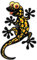 FahnenMax Autoaufkleber Sticker Lizard Eidechse Gecko schwarz Aufkleber