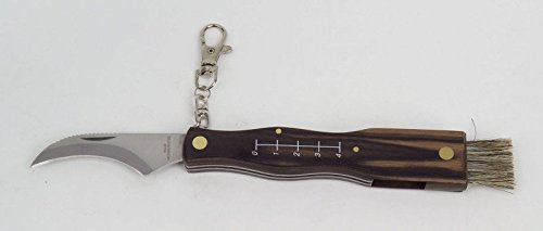 Haller Pilzmesser, Bürste, Maßstab, 440, 14 cm