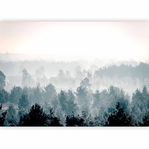 murando - Papier peint panoramique paysage 400x280 cm - Revêtement mural décoration pour chambre salon - Design moderne - Gris bleu blanc - Forêt brouillard nature paysage hiver c-B-0347-a-a