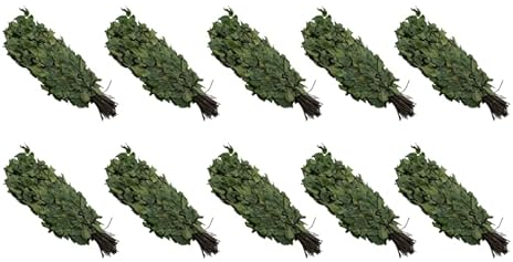 Dufte Momente | 10 x Birken Reisig, Wenik, Quast für Sauna, Banja | aus Ernte 2024 | einzeln verpackt und luftgetrocknet | mehrfach verwendbar ¬| Länge ca. 50-60cm, Gewicht ca. 190g