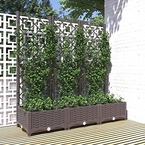 GuyAna Pflanzkübel mit Rankgitter Braun Hochbeet Metall Hochbeete FüR Garten 120x40x121,5 cm PP