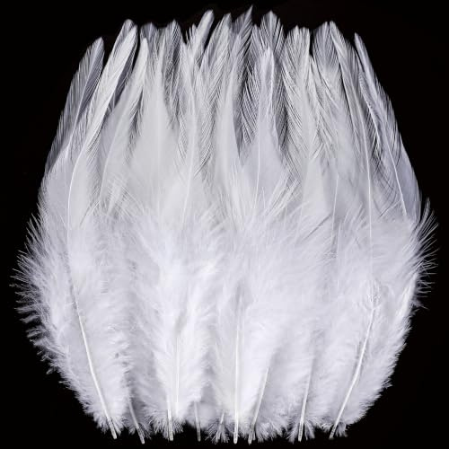 Holmgrem 200 Stück Weiße Federn 13–18 cm zum Basteln für Hochzeiten, Partydekorationen