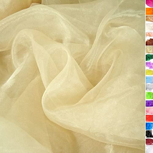 TOLKO 1m Organza Stoffe zum Nähen Meterware | Hauch Zart, Fein, Durchsichtig | zum Dekorieren Basteln 145cm breit | Leichter Glanz Stoff für Gardine Vorhänge Tischdecken Deko Schals (Champagner)