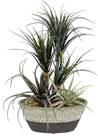 Kunstpflanze Dracena / Tillandsia im Topf Künstliche Gefälschte Blume Pflanze Grünpflanze Kunstblume Kunstgras Luftpflanze Kakteen Zimmerpflanze Sukkulente Aloe Vera Agave Yucca Sanseveria Kalanchoe