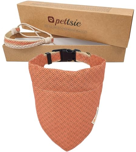 Pettsie Hundehalstuch mit Halsband und Freundschaftsarmband, Verstellbare Größen S, M, und L, Abnehmbares Bandana Tuch, Attraktive Verpackung, Hundeliebhaber, M, Orange