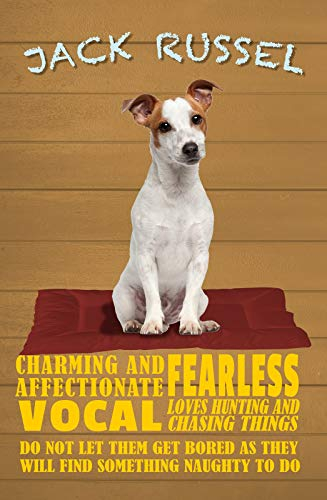 Ontrada Holzschild 12x18cm Jack Russel Dog Holz Schild