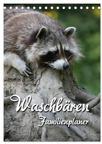 Waschbären Familienplaner (Tischkalender 2026 DIN A5 hoch), CALVENDO Monatskalender: Putzige Räuber (CALVENDO Tiere)