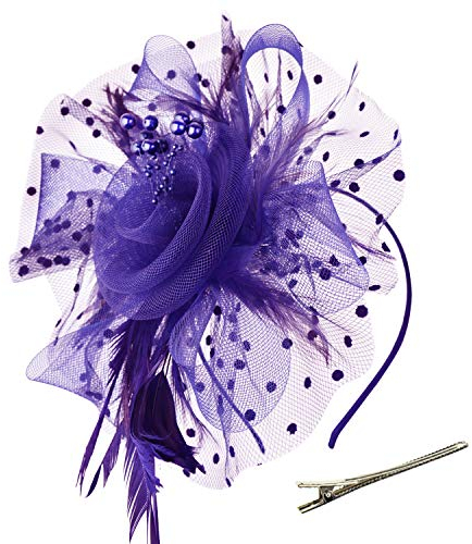 DRESHOW Fascinator Hüte für Damen Pillbox Hut mit Schleier Stirnband und Einer Gegabelten Clip Tea Party Kopfbedeckung
