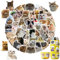 100 Stück Lustiges Katzen Aufkleber Set, Meme Aufkleber süße Katzen Aufkleber Wasserfeste Vinyl Aufkleber für Skateboard Laptop Koffer Helm Motorrad Auto Fahrrad Handy, Geeignet für Erwachsene Kinder