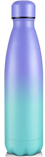 Volhoply 750ml Insulated Water Bottle, Double Wall Stainless Steel Vacuum Bottles, Keeps Cold 24H & Hot 12H, BPA Free Leak Proof Bottles (Purple Blue,1 Pack)