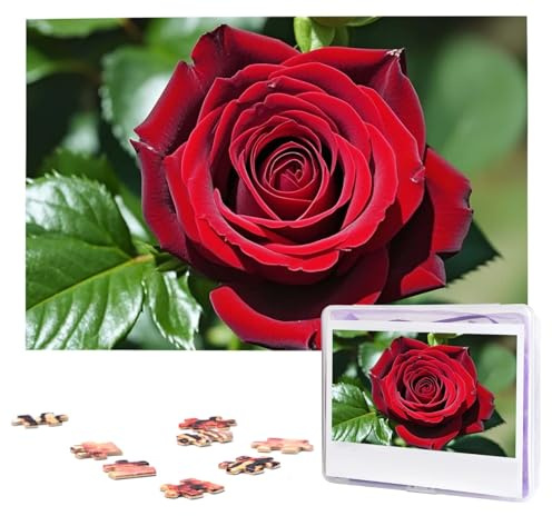Schöne rote Rosen-Puzzle, 1000 Teile, personalisiertes Puzzle, Foto-Puzzle für Erwachsene, anspruchsvolles Bilderpuzzle mit Aufbewahrungstasche, Puzzles für Männer und Frauen, Heimdekoration (25,9 x