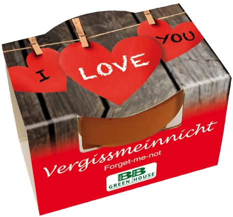 Bull & Bear Mini Pflanzset 'I Love You' mit Samen für Vergissmeinnicht im Topf 4,5cm, Blumensamen als Anzuchtset mit Pflegeanleitung