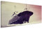 120x40cm Panoramabild auf Leinwand Eisbrecher im Eis