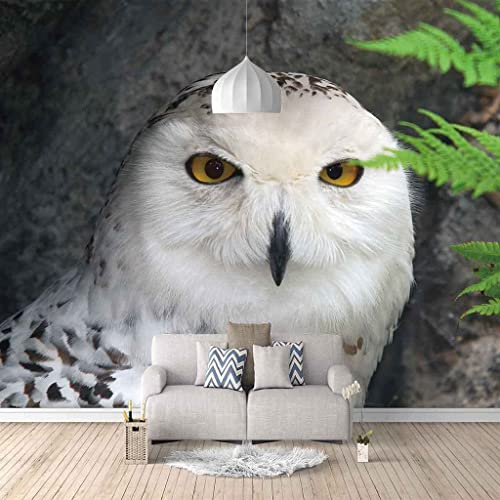 3D Selbstklebende Leinwandtapete Großes Wandbild Fototapete Tierische Eule Poster-Tapete, Dekoratives Wandbild, Heimdekoration Für Teenager-Schlafsaal, Jungen-Mädchen-Zi 350 (Breite) x 256 (Höhe) cm