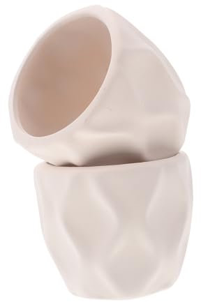 Toddmomy 2piezas Macetas De Pintadas para Colorear Macetas Pequeñas De Material De Bricolaje para DIY para Manualidades y Decoración De Interiores