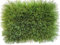 KUNSTRASENWELT - Kunstrasen Flair 650 | Vielseitiger Rollrasen in frischem Grün | Rasenteppich, perfekt für Garten, Terrasse, Balkon & Messen | Kunstrasen mit 50mm Höhe; Größe: 1m x 1m