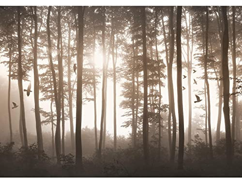 Runa Art Papier peint intissé Oiseaux Fog Forêt 352 x 250 cm Toison Mur XXL Tableaux Muraux Tapisserie Photo Décoration Murale Salon Chambre marron 9326011b
