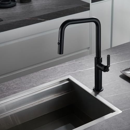 IMEX - Grifo de Cocina Extraible | Grifo Monomando Fregadero con Difusor | Griferia de Cocina con Mangera Flexible 360º | Serie Niza | Color Negro Mate