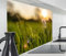 timalo Spritzschutz Wand für Herd, Küche Küchenrückwand aus Alu | Aluminium 2mm | Alurückwand Aluverbund Wandpaneele Rückwandschutz Platte | Aluverbund – 100x50cm Wiese Natur Blumen