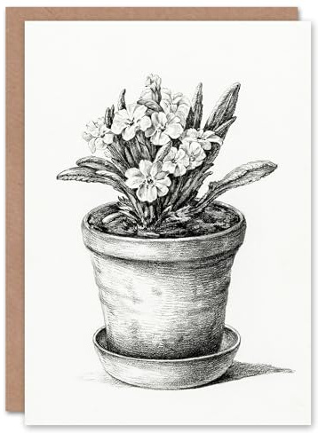 Artery8 Jean Bernard Art Card Potted Flowering Plant Pencil Drawing