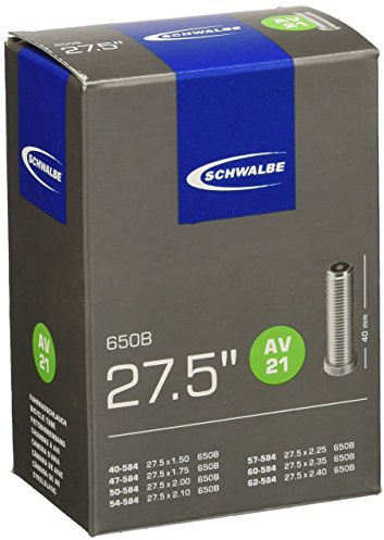 Schwalbe Inner Tube Standard Mixed