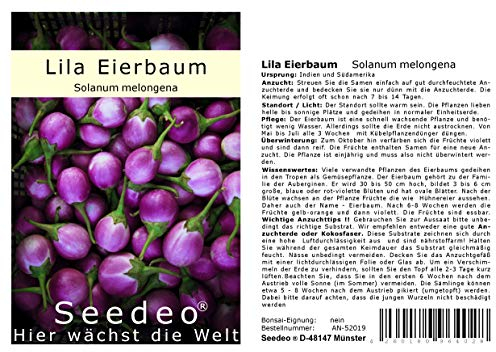 Seedeo® Lila Eierbaum (Solanum melongena) 20 Samen