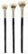 Artmaster Series 99 Synthetic Bristle Fan Paintbrush Set of 3