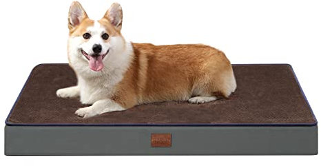 Bedfolks Orthopädisches Hundebett aus Memory-Schaum mit abnehmbarem Bezug, wendbar, waschbar, 10,2 cm dick, Braun