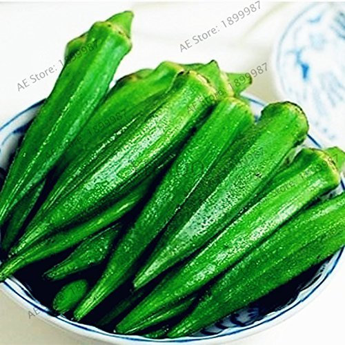 Okra Samen, Bio-Non GMO Okra Gemüsesamen für Haus und Garten Topfpflanzen, leicht zu Pflanze, 20pcs / bag 2