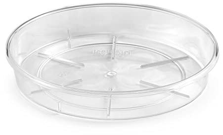 Decorspace Sottovaso Rotondo Plato per vasi Colorati da Esterno e Giardino (36 cm, Trasparente)