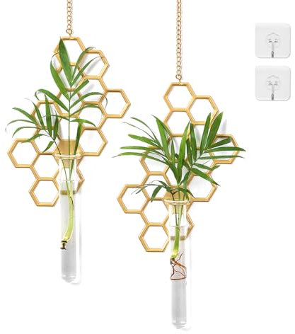Hewory Terrarium Deko Reagenzglas Vase: Wanddeko Vasen Set Reagenzgläser für Blumen - Wandvase Hängend Propagation Station mit Bienenwabe Rahmen für Hydrokultur Pflanzen Room Deko Wohnzimmer Büro