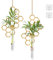 Hewory Terrarium Deko Reagenzglas Vase: Wanddeko Vasen Set Reagenzgläser für Blumen - Wandvase Hängend Propagation Station mit Bienenwabe Rahmen für Hydrokultur Pflanzen Room Deko Wohnzimmer Büro