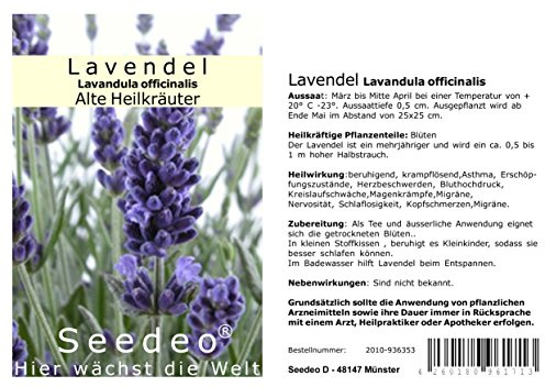 Seedeo® Lavendel (Lavandula officinalis) 1000 Samen BIO