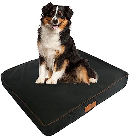 Ellie-Bo Small Memory Foam Dog Bed for 24-inch Dog Cage/Crate - Black Water Resistant