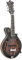 Gold Tone F-6: F-style Mando-Guitarwith Pickup and Hard Foam Case | Manditar tuned EADGBE