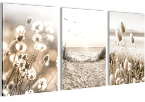 Novart Bilder Set Boho Pampasgras - Kein Extra Rahmen benötigt - Wandbilder für Wohnzimmer Schlafzimmer Flur - 3 Teilig Deko Beige - N035336a