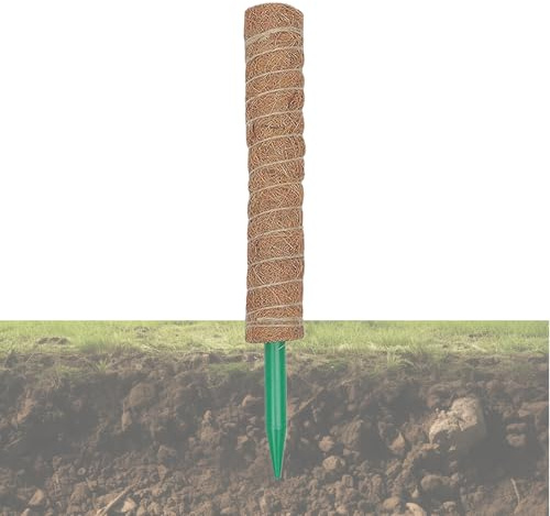 Plant Moss Pole, Moss Pole per piante - COIR MOSS POLONIA Supporti per piante rimovibili | Bastoncini da giardino e cinghie per piante domestiche da esterno per interni