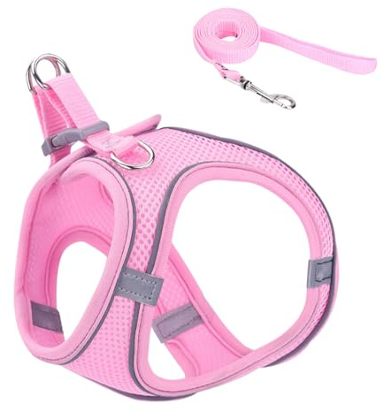 Harnais pour Chat, Harnais Sécurisé Ajustable pour Chats, Accessoires pour Chiens Et Chats Toutes Tailles Voyage Randonnée