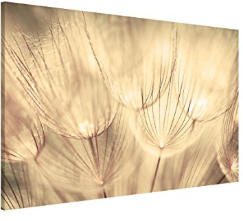Bilderwelten Magnettafel Pusteblumen Nahaufnahme in wohnlicher Sepia Tönung Quer, 40cmx60cm