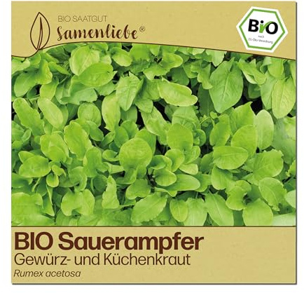 Samenliebe BIO Sauerampfer Samen | Küchenkraut - winterhart & mehrjährig - samenfestes BIO Saatgut