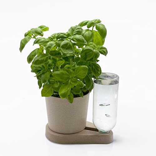 greevi kräuterheld | Selbstbewässernder Pflanztopf für Küchenkräuter | Made in Germany | Kunststoff (Bio-Kunststoff,Bio-weiß)