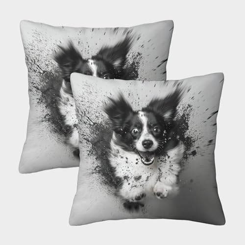 KKPBHTYVG Border Collie Kissenbezug 2er Set Kissenbezüge Wohnzimmer Kissenhülle Sofakissen Polyester Polster Textil Für Sofa Schlafzimmer Couch Outdoor Deko Kissen 45x45cm