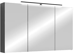 byLIVING Spiegelschrank Spree, Korpus matt anthrazit Spiegeltüren | Hängeschrank, Soft-Close-Funktion, inkl. LED-Beleuchtung, Badschrank mit Stecker- und Schalterdose, B 100, H 60, T 20 cm