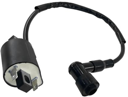 CGEAMDY Bobine Allumage Moto 2 Broches Ignition Coil pour Améliorer Performances Moteur Scooter