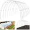 ZUCKLIGHT Garden Hoops for Netting, 50Pcs Garden Hoops with 32Pcs Clips Detachable DIY Garden Hoops for Rust-Free Fiberglass Support Hoops Frame for Garden Growing Vegetables